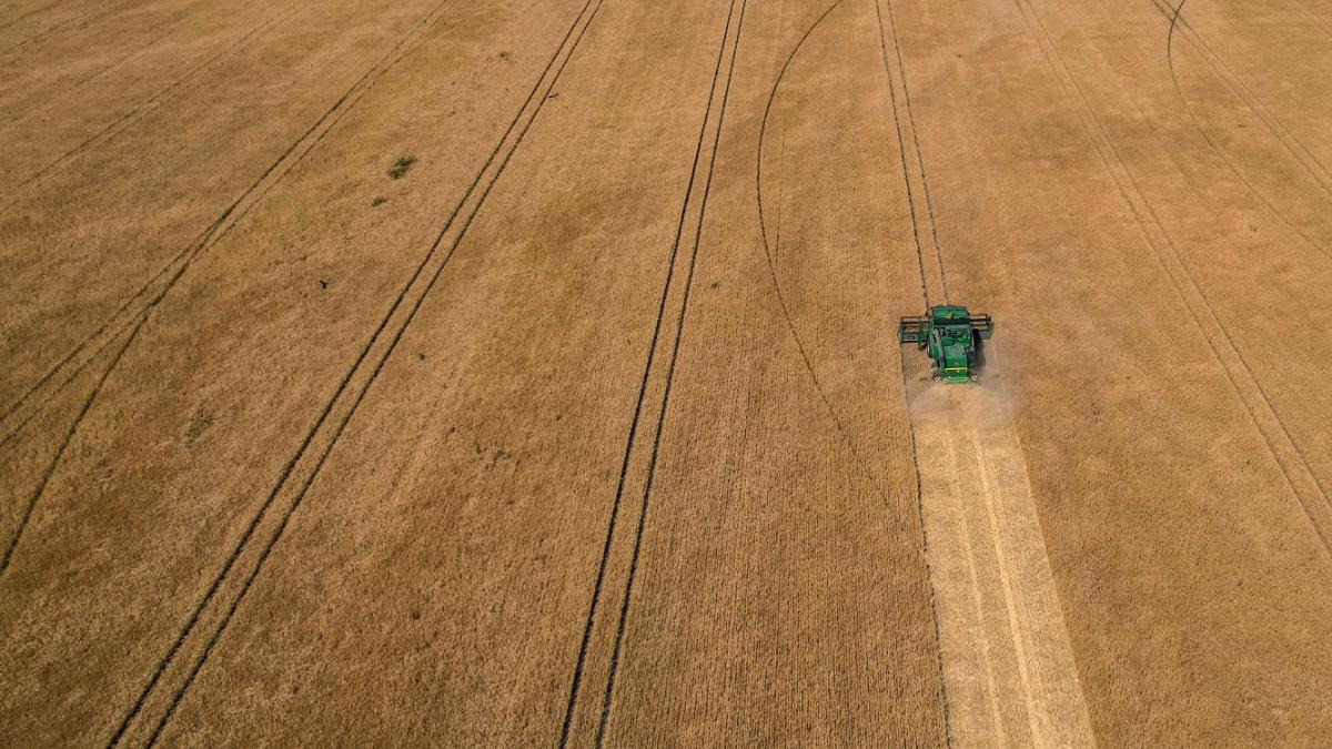 centru coordonare exporturi cereale istanbul