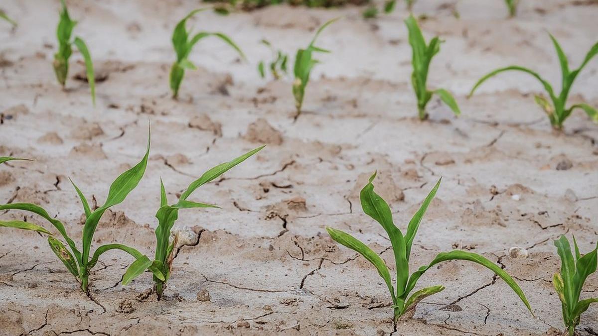 primar gorj indemn oameni turnatorie furt apa recompensa
