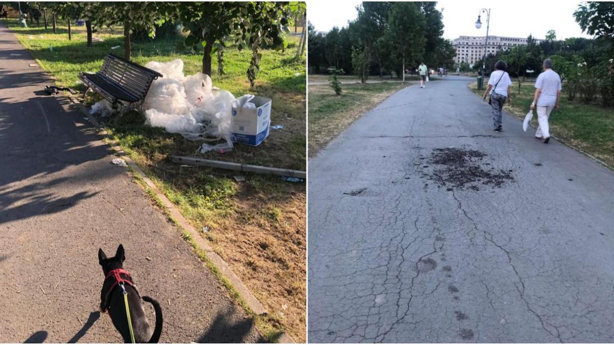 consilieri psd bucuresti nu sunt de acord cerere concesionare parc izvor