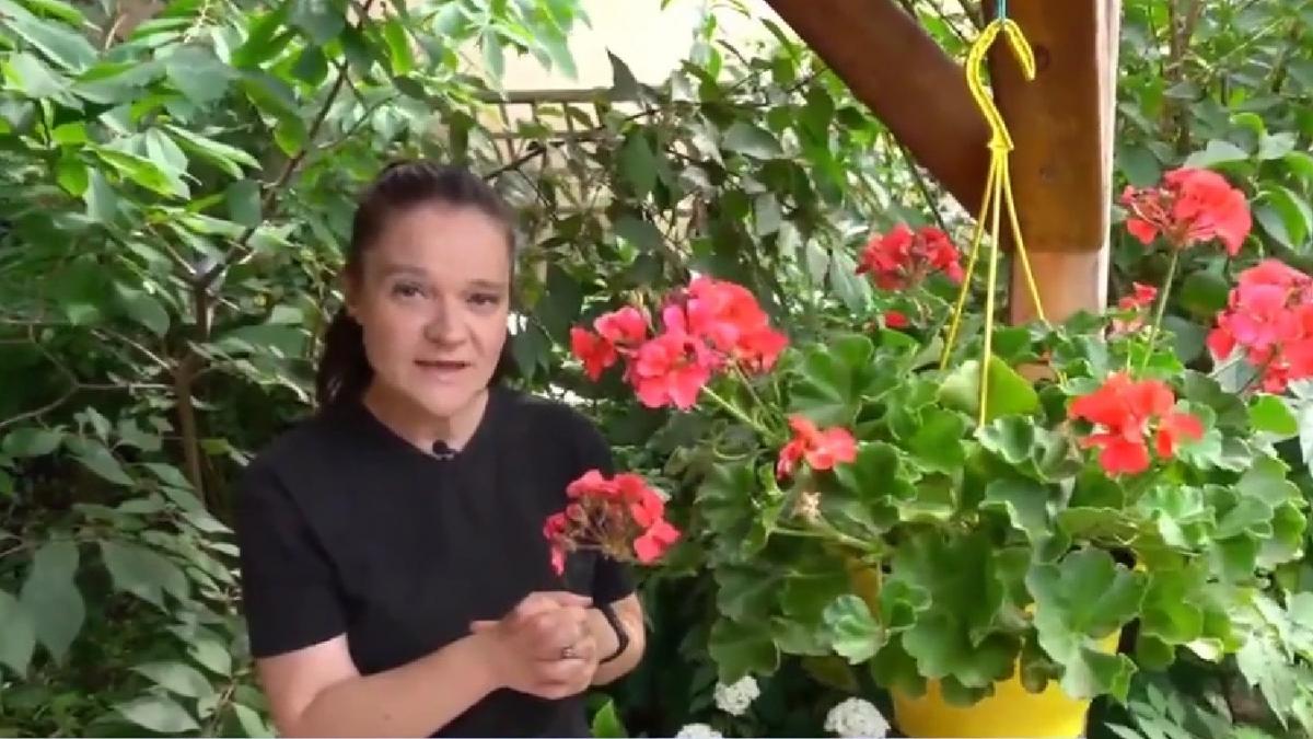 cum sa avem muscate sanatoase pline de flori