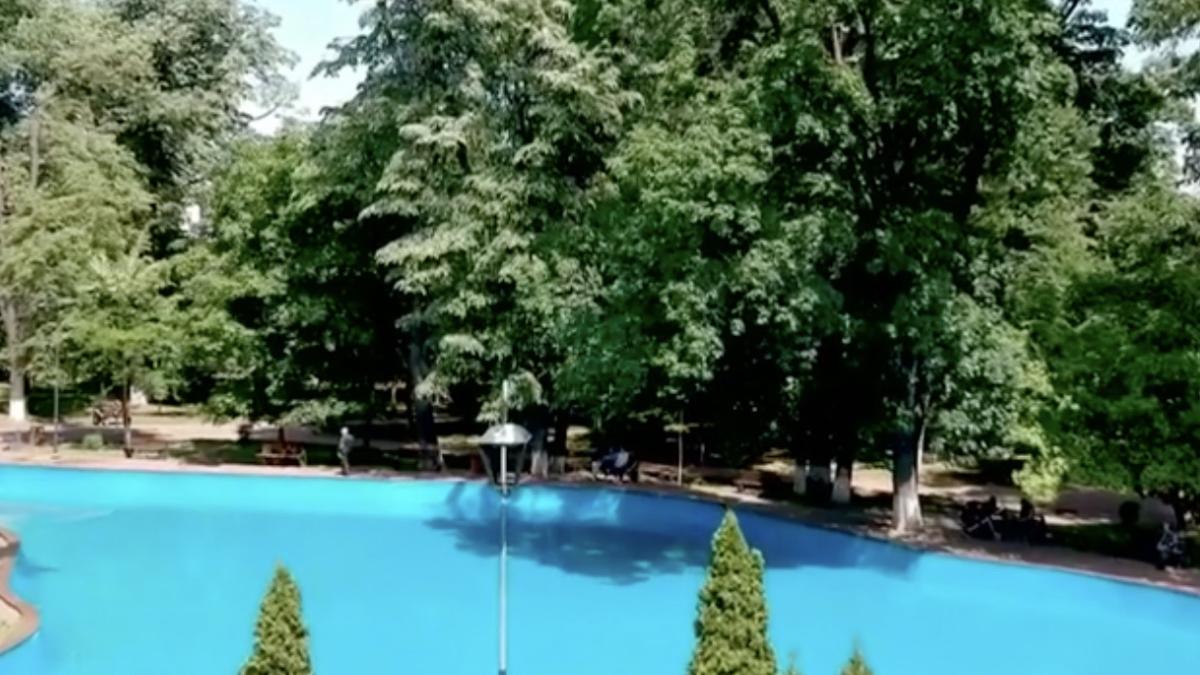 persoane consumat substante afrodisiace nu au voie parcuri botosani