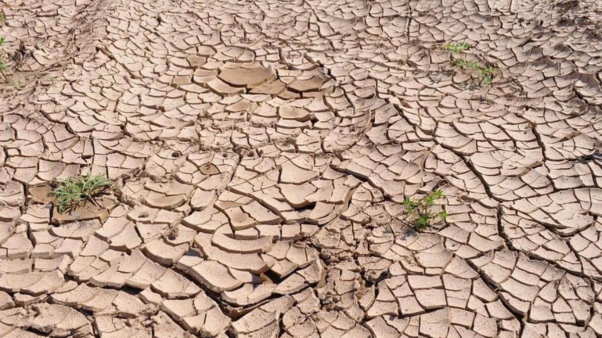 seceta pagube romania ministerul agriculturii