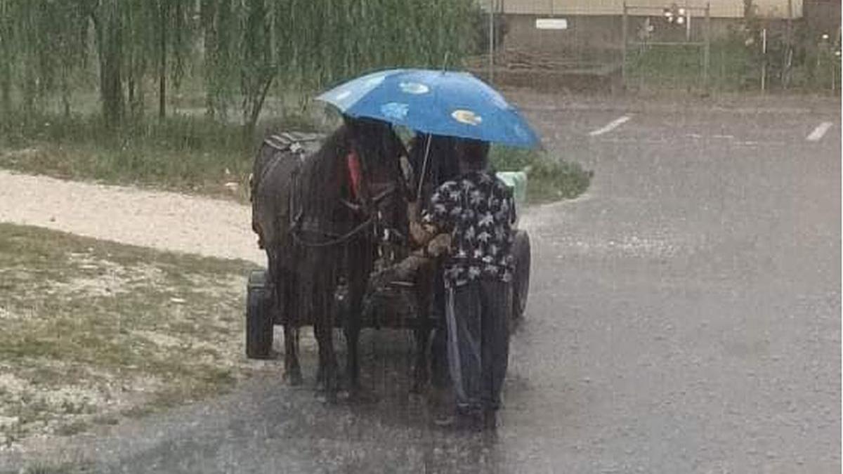 barbat protectie doi cai umbrela ploaie torentiala pitesti