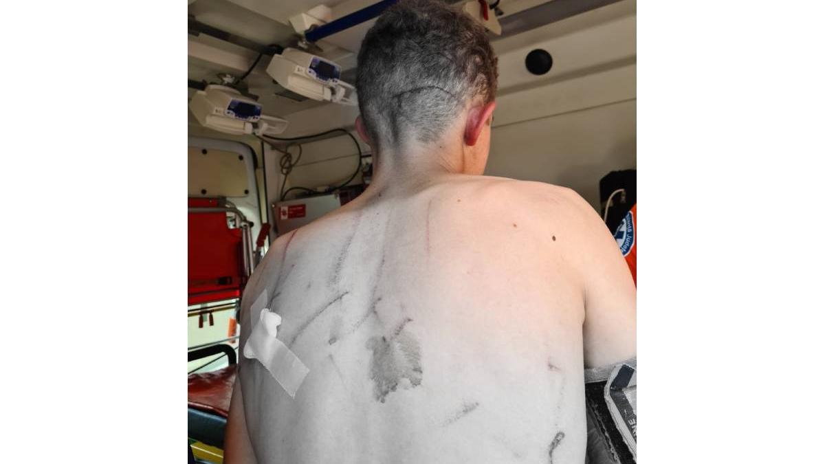 tanar atacat urs harghita