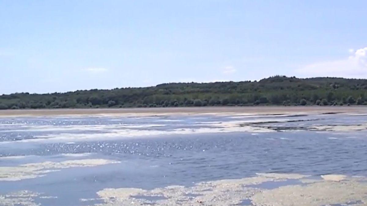 plaja mijlocul dunarii zimnicea seceta debit fluviu jumatate