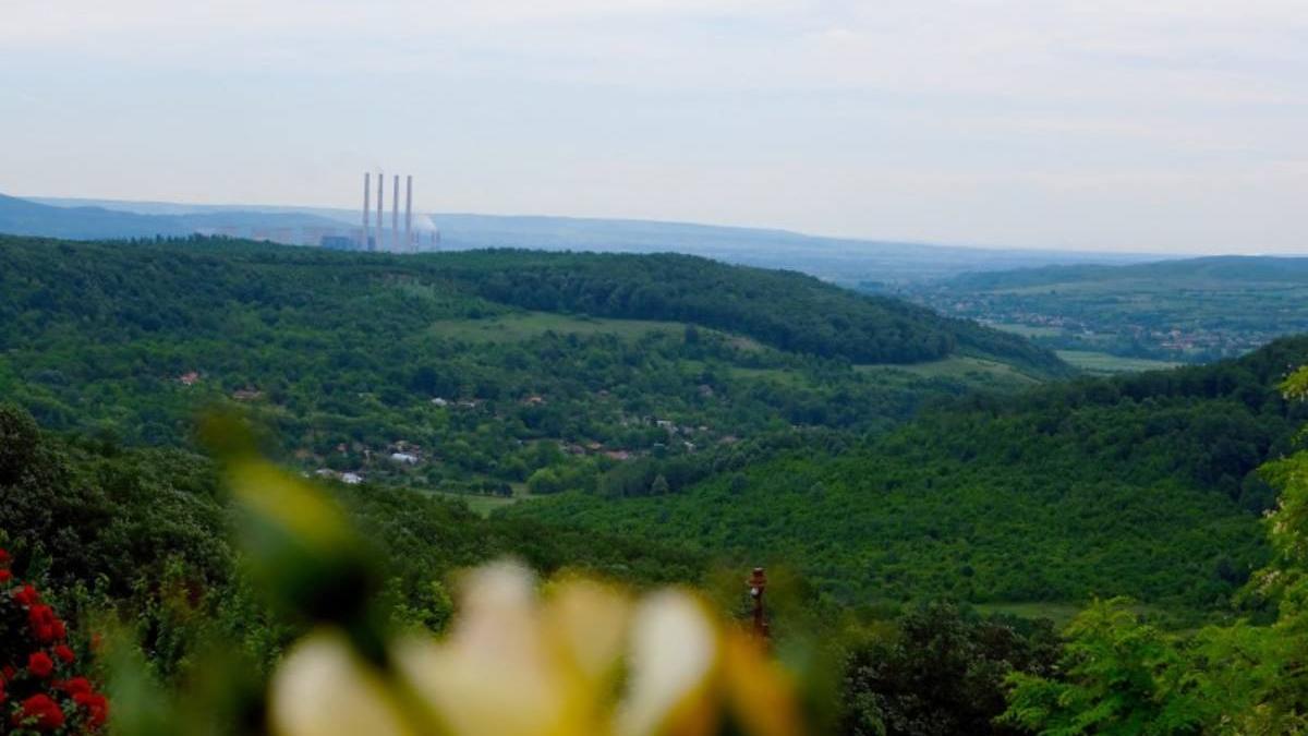 recensamant falsificat groj