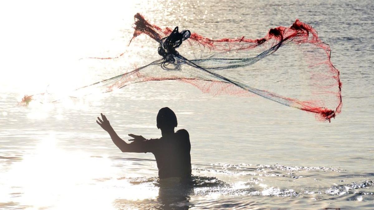 seceta debit dunare fara pesti