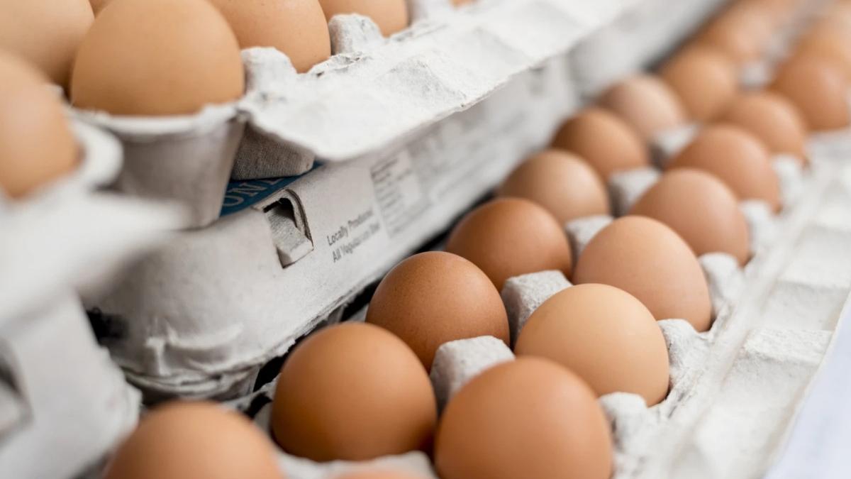 caserola oua magazin ou prajit tigaie embrion pui barbat cluj