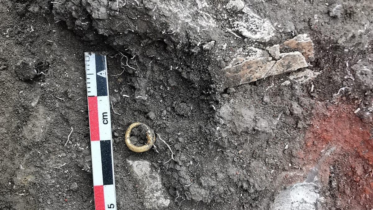 morminte epoca bronzului vechi 5 000 ani descoperite ploiesti blejoi