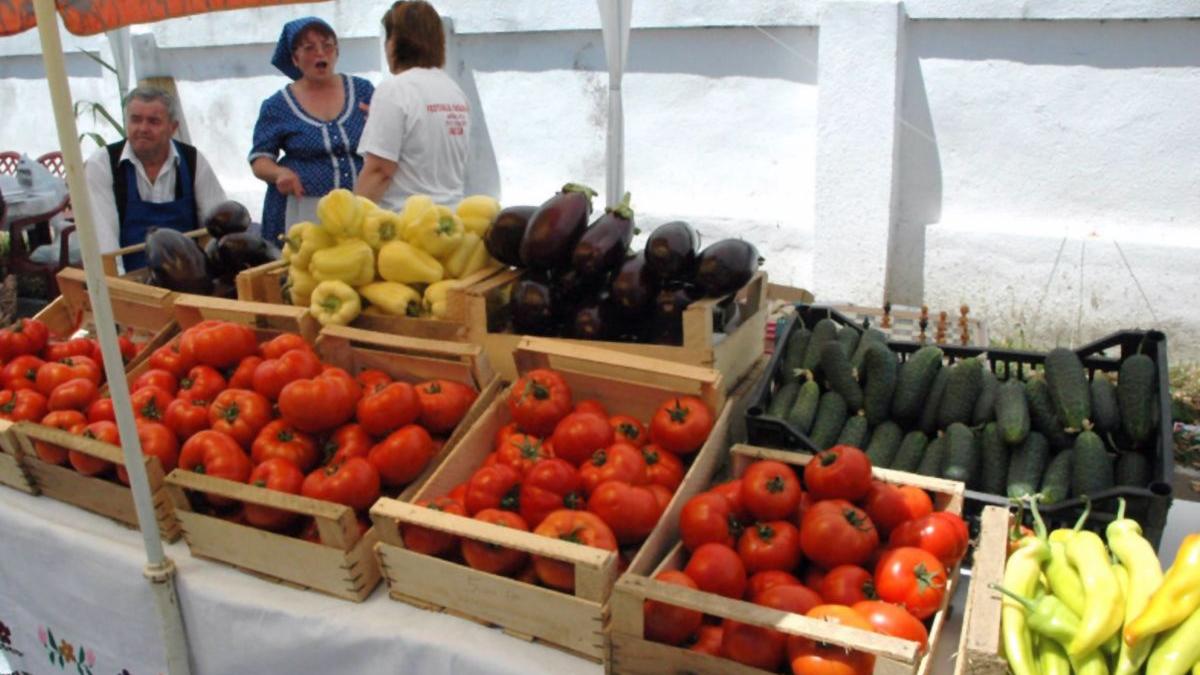 programul tomata bani ministerul agriculturii legumicultori