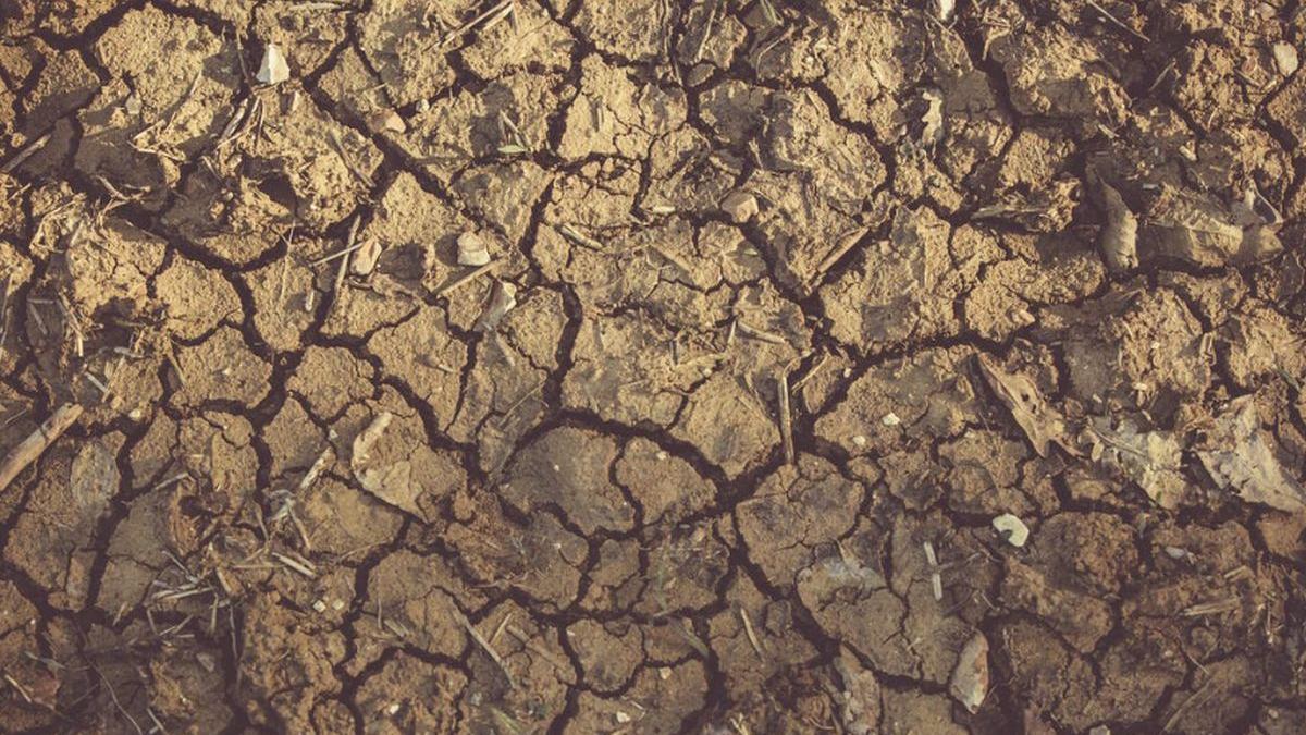 seceta judete romania ministerul agriculturii