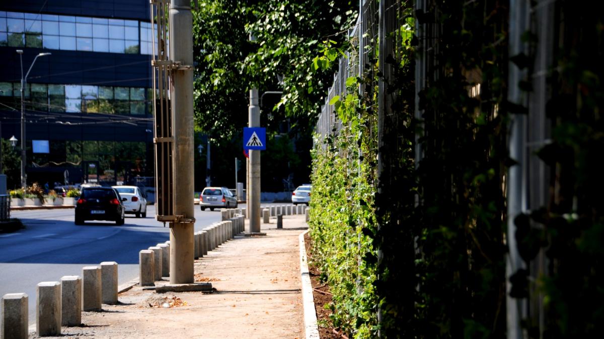 spatii verzi verticale sector 4