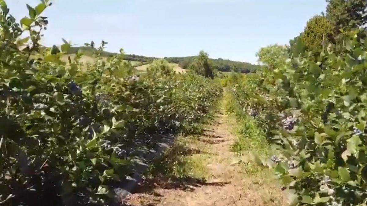 afacere castiguri 20 000 de euro