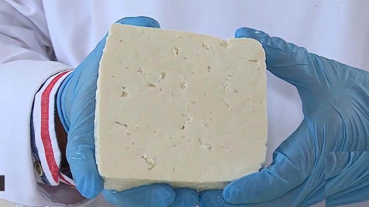 telemea ibanesti cucereste america imagini fabrica mures