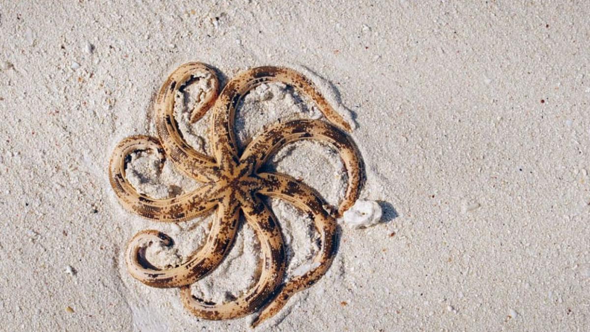 cele mai frumoase amintiri in urma unei excursii in zanzibar starea de voie buna plutea in aer