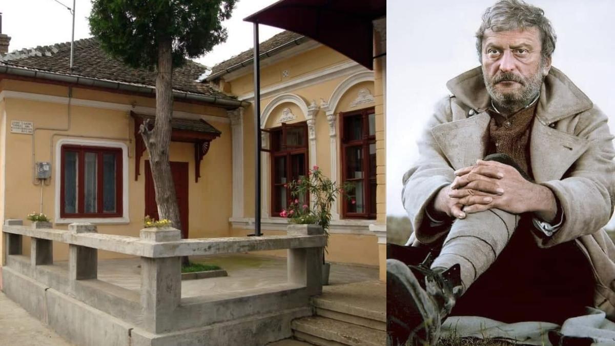 oana pellea casa memoriala amza pellea bailesti inchisa