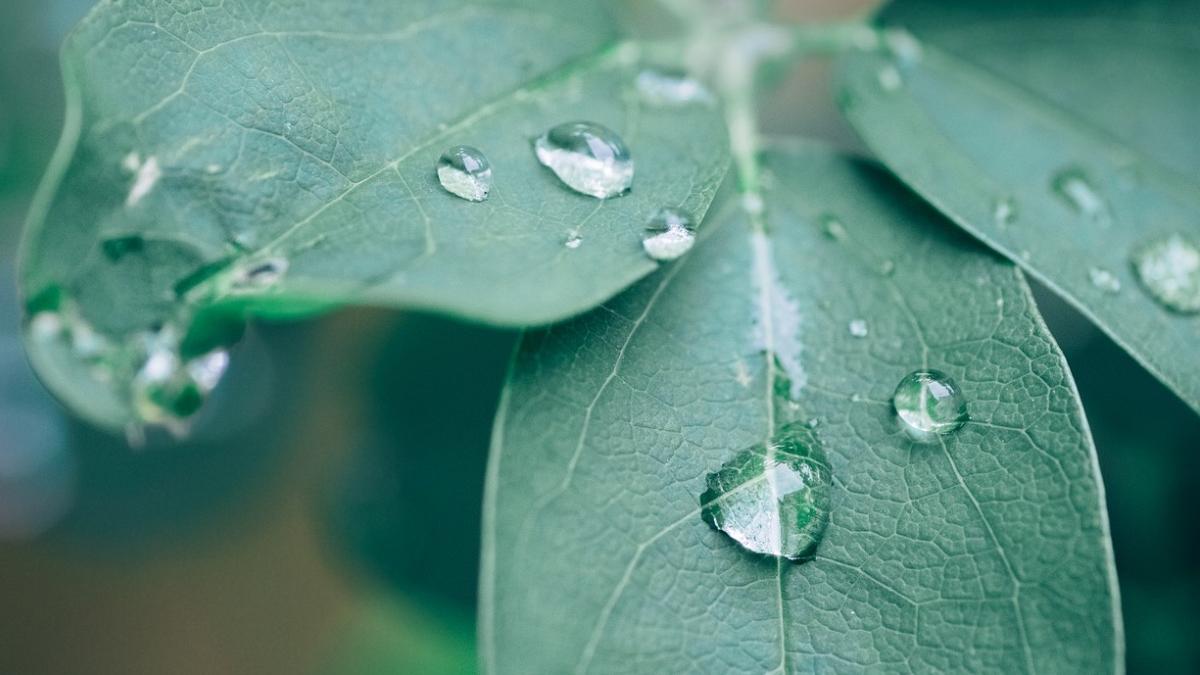 apa ploaie nu mai este potabila nicaieri terra