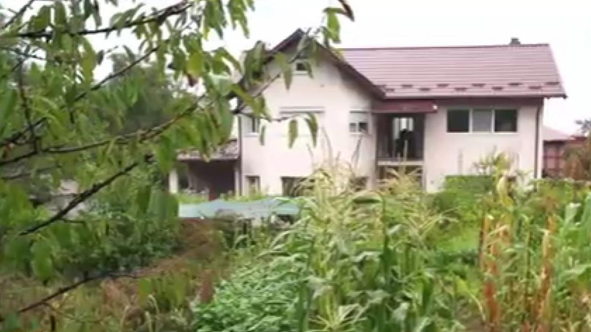 cum a actionat criminal bascov