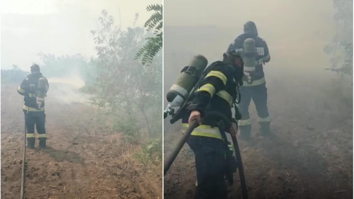 incendiu vegetatie padure judetul braila foc zeci hectare
