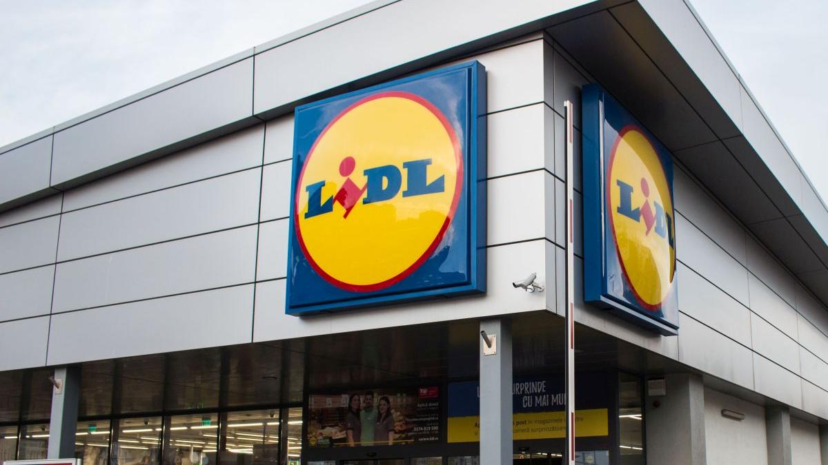 vouchere alimente 2022 anunt lidl tichete sociale