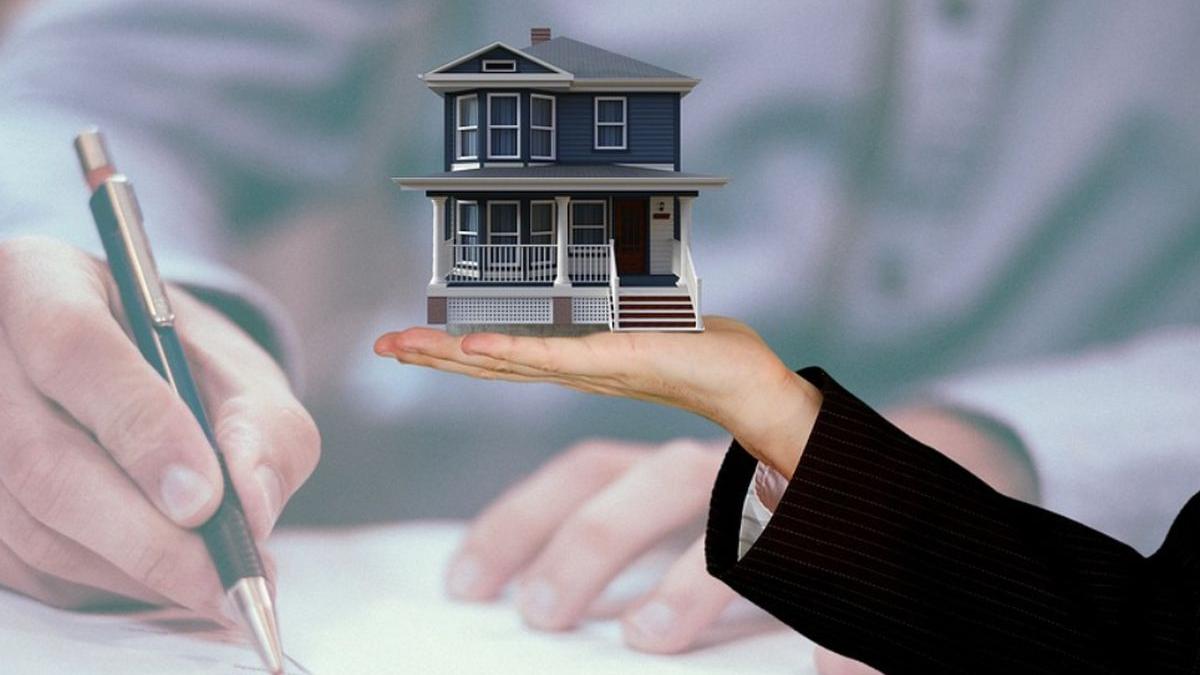 tanara arhitecta cluj teapa bani chirie