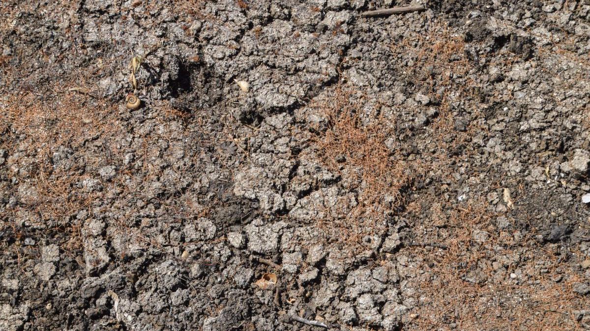 apa cu ratia magazin anglia seceta arsita