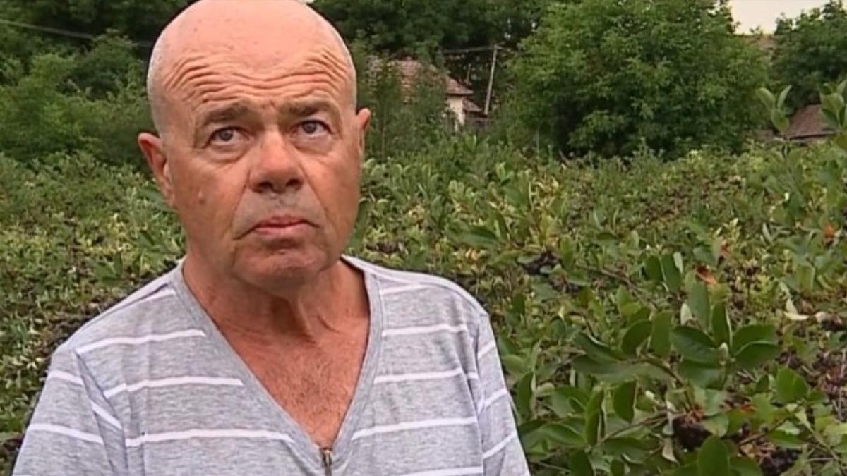 fermier handicap fizic mures afacere succes fruct aronia sistem imunitar