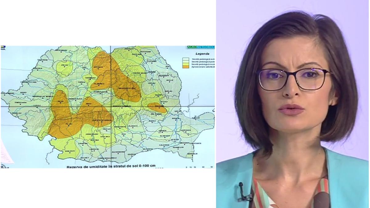 harta seceta parjoleste tara unde este cea mai grava situatie