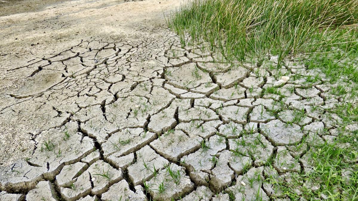 romania judecata cedo schimbari climatice familie portugalia