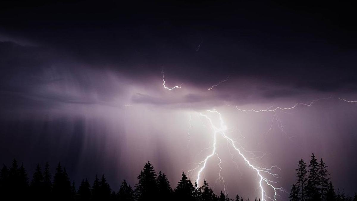 american a supravietuit lovit de fulger