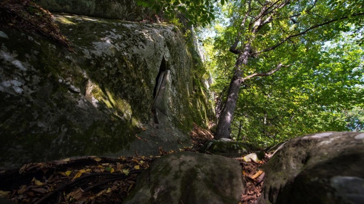 turisti rataciti padure buzau