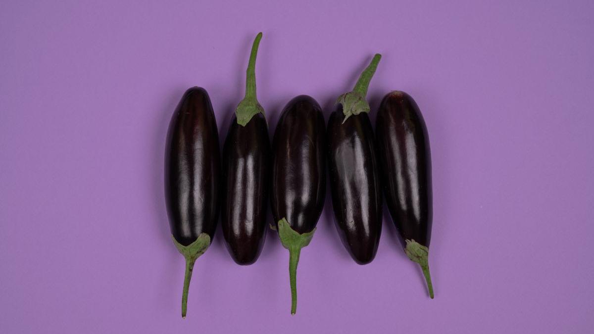 chef joseph hadad vinete frigider