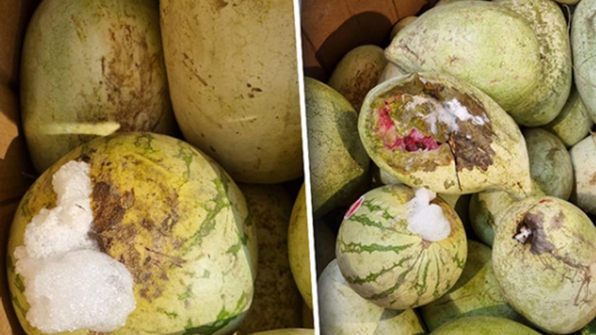 pepeni putreziti spuma supermarket vaslui