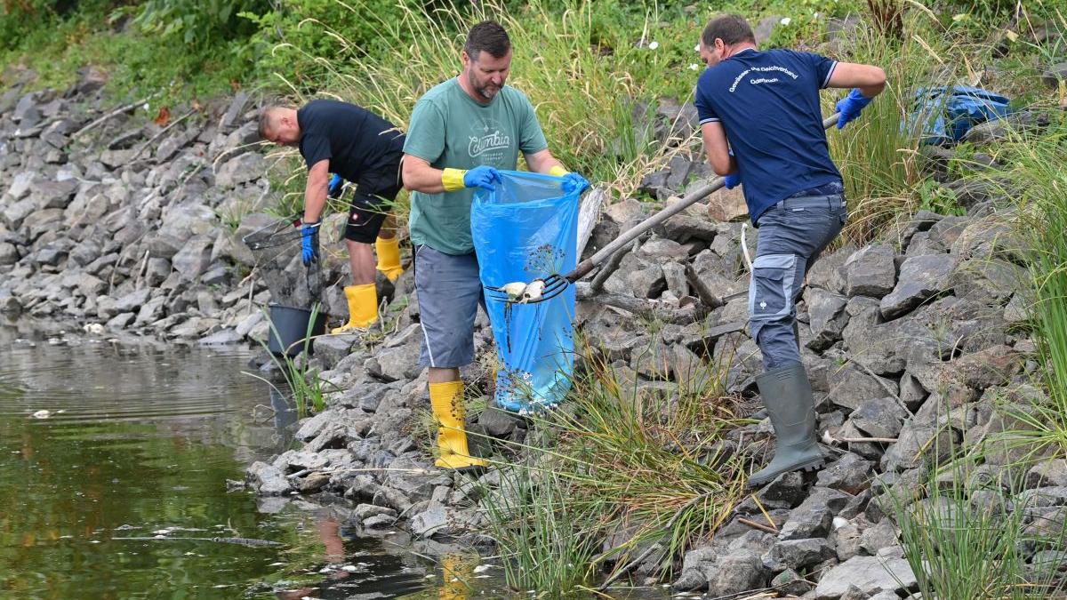 mister pesti morti germania polonia teste laborator