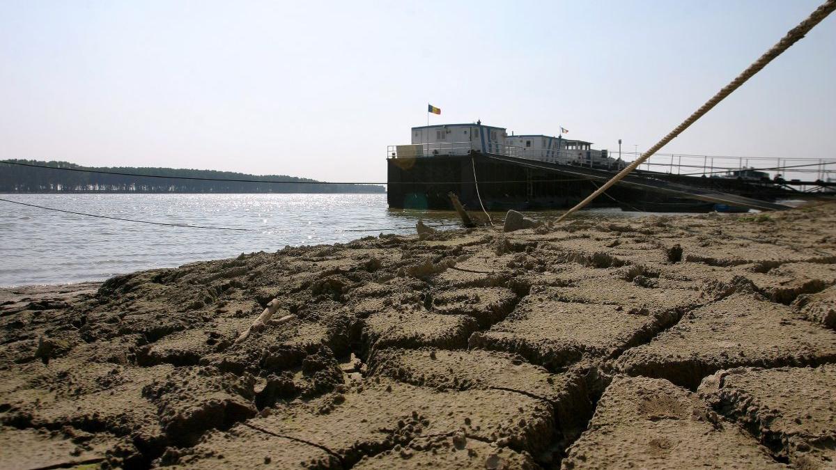 ministerul agriculturii 370000 hectare culturi afectate seceta