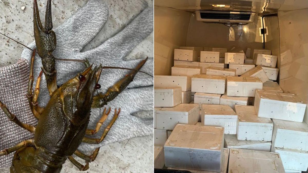 raci dunare 2 milioane euro camion romanesc vama nadlac