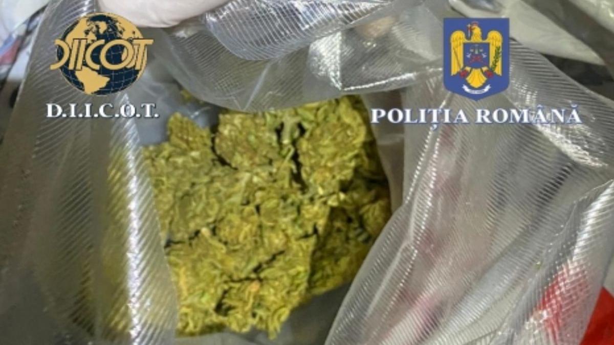 cantitati uriase droguri rulote corturi festival harghita