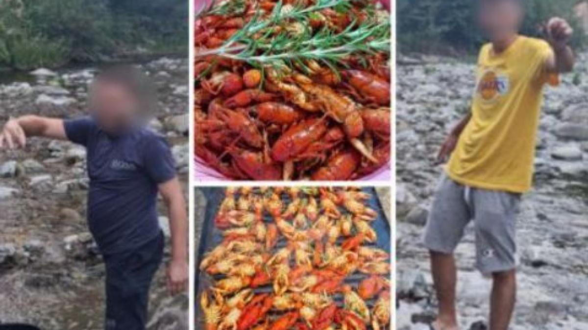 tineri bihor dosare penale raci specie protejata