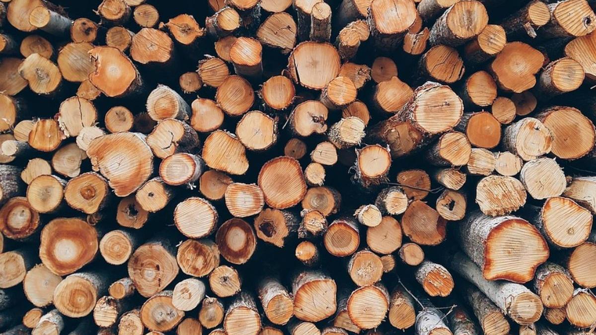 lemne de foc scumpiri arad pret gaze