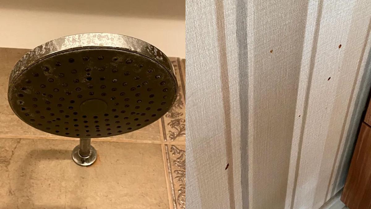 mizerie turist apartament mamaia inchiriat 600 lei noapte