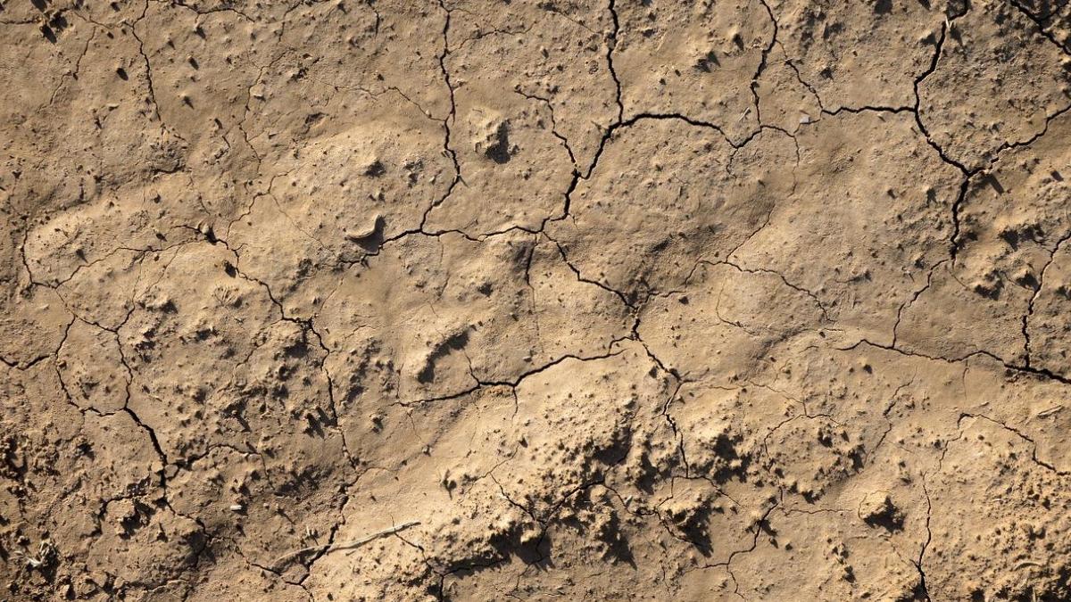 seceta romania hectare afectate 34 judete