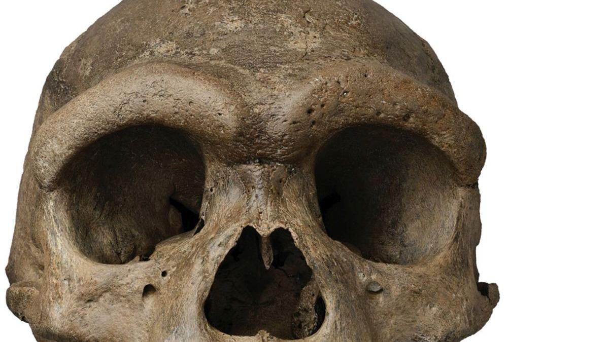 romanesti homo sapiens omul de neanderthal europa teritoriul romaniei