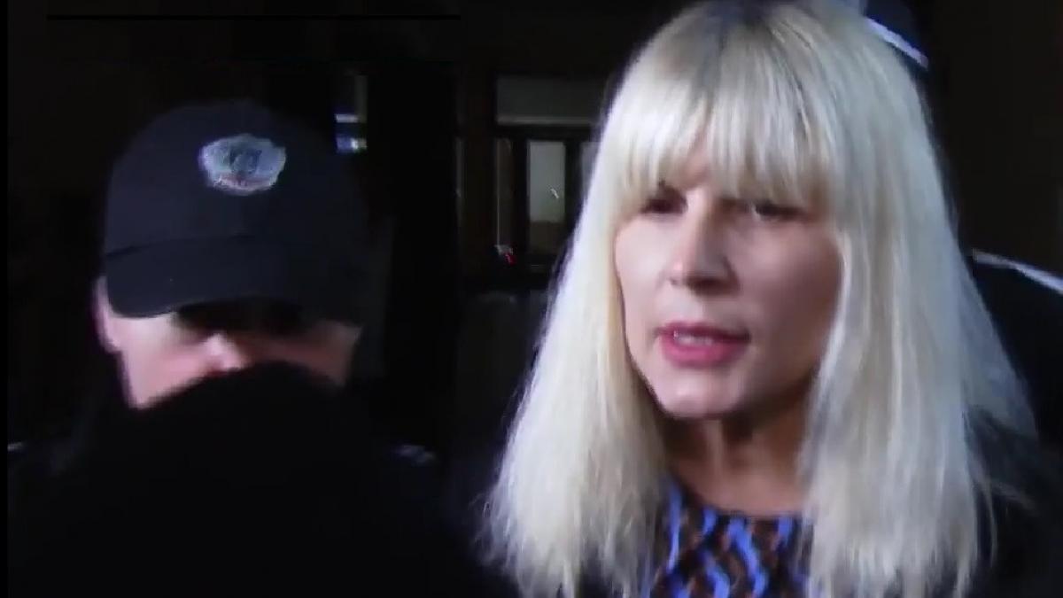 elena udrea mesaj inchisoare facebook