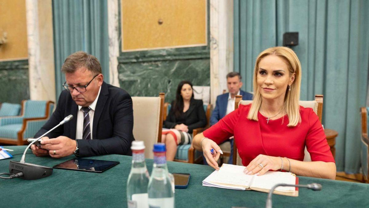 gabriela firea proiect act normativ marius constantin budai servicii sociale