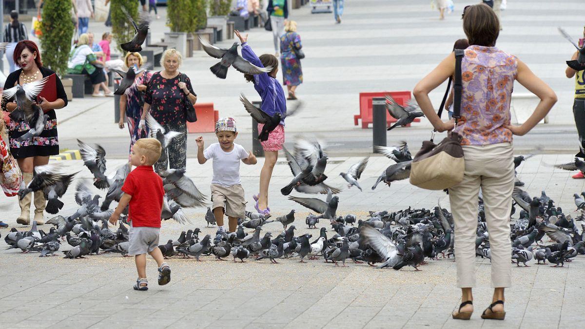 program crestere natalitate masa guvern