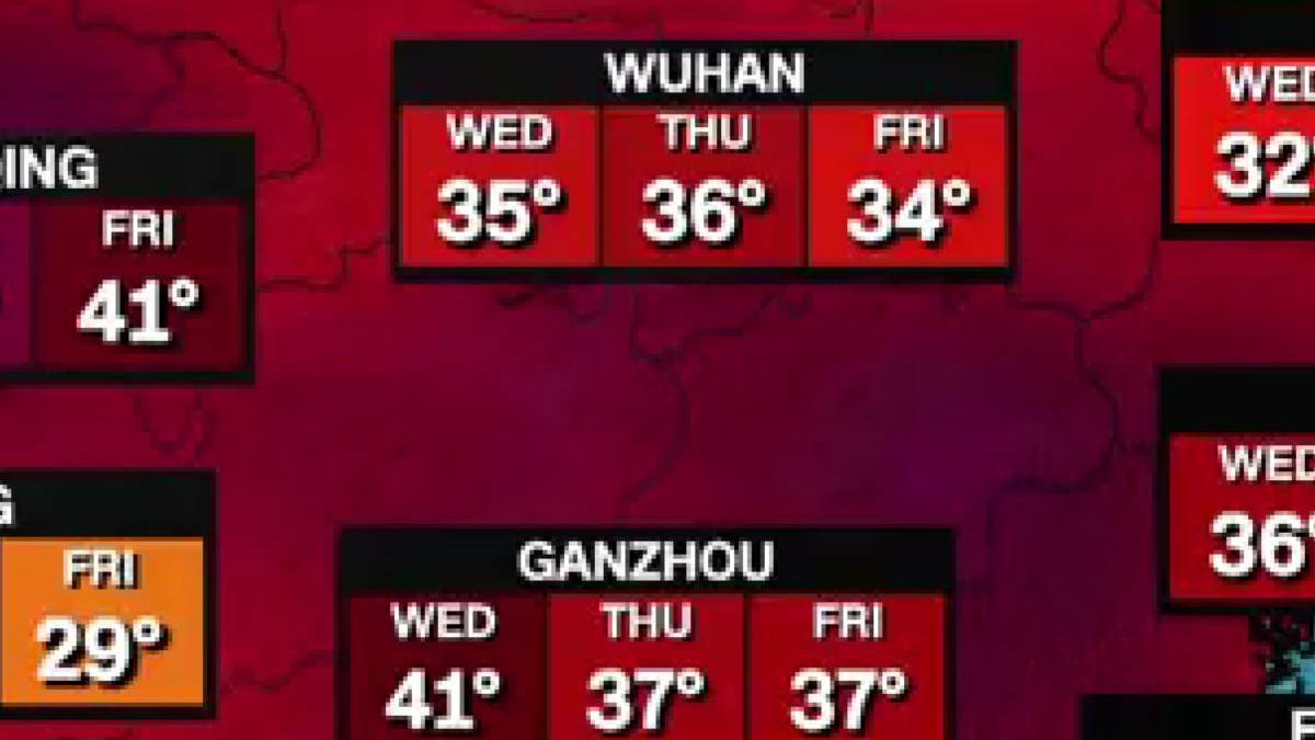 seceta grava china 2022