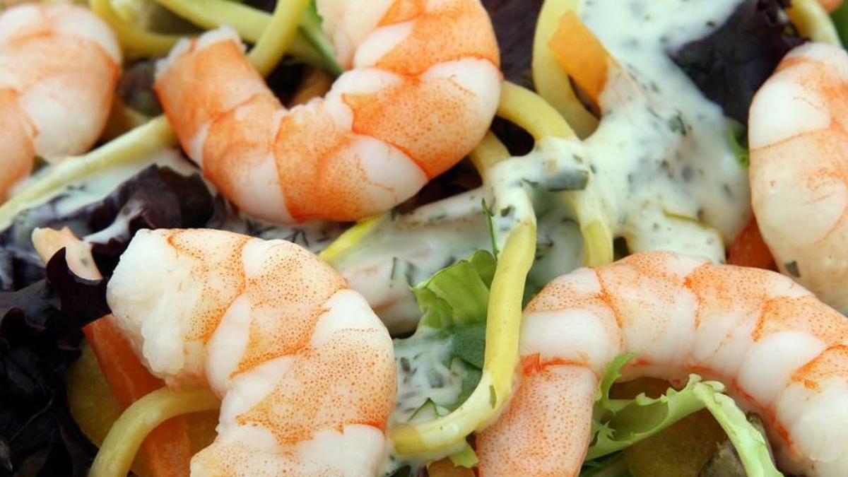 creveti prefierti bacterie magazine