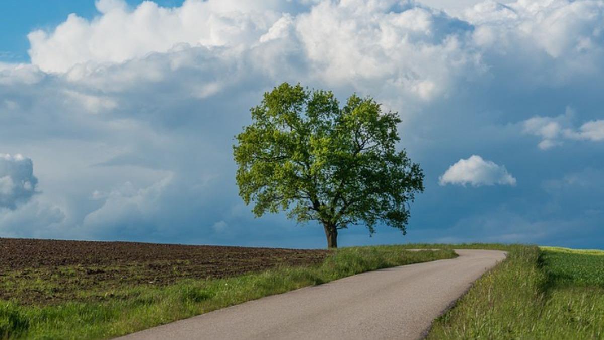 trafic de droguri de mare risc heroina ecstasy