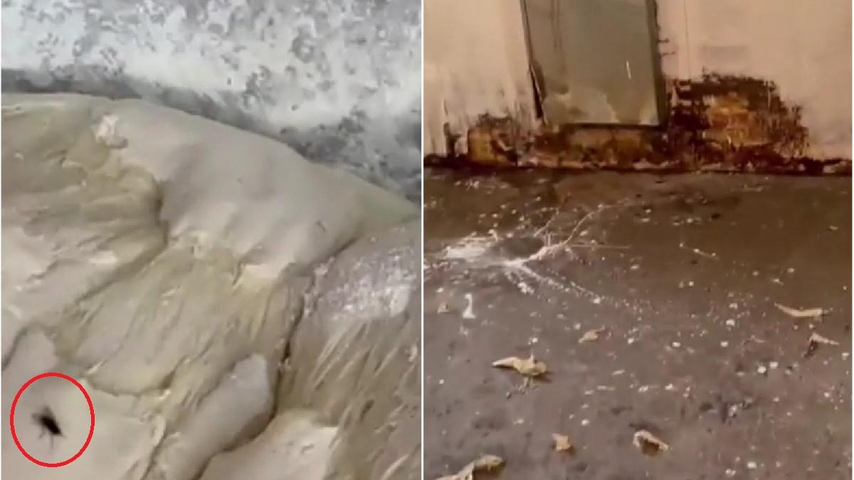 jumatate magazine giurgiu inchise anpc horia constantinescu nereguli gasite