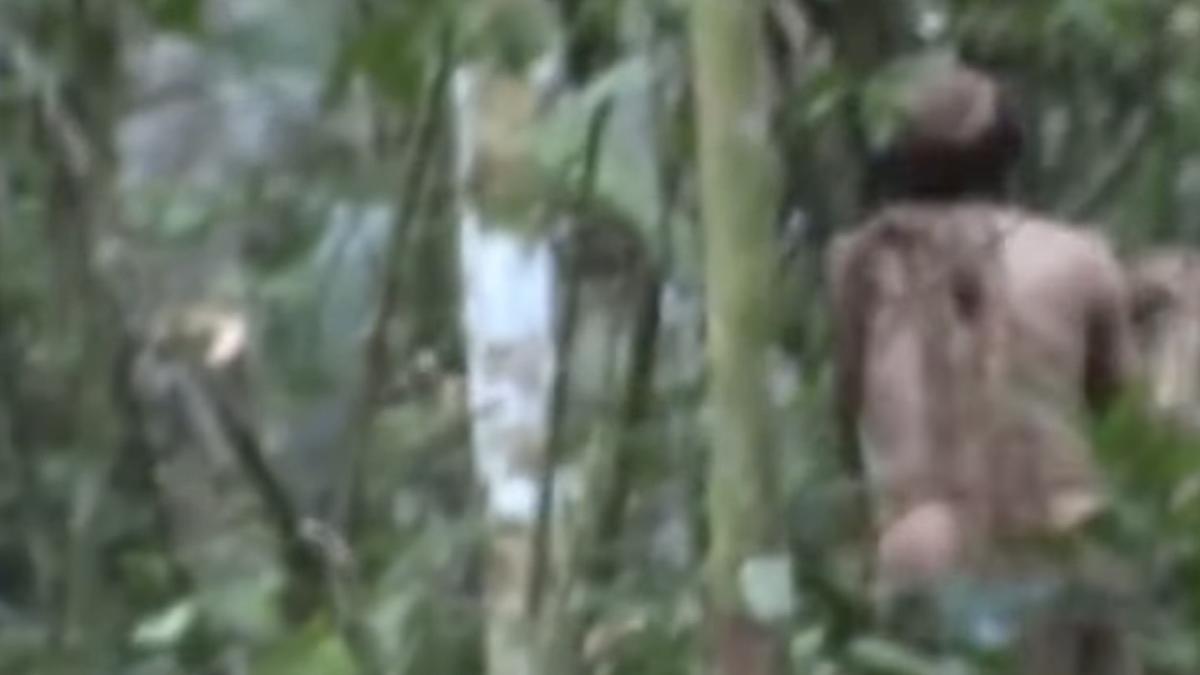 a murit omul gropilor ultimul membru trib indigen brazilia fara contact civilizatie